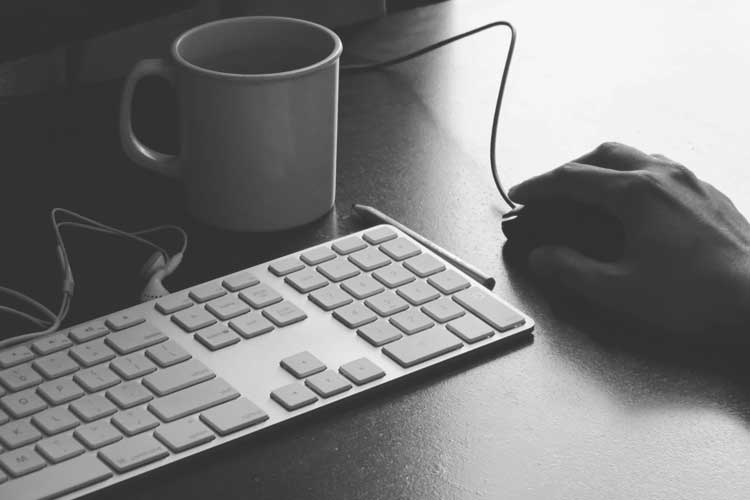 自动攻击网站工具下载