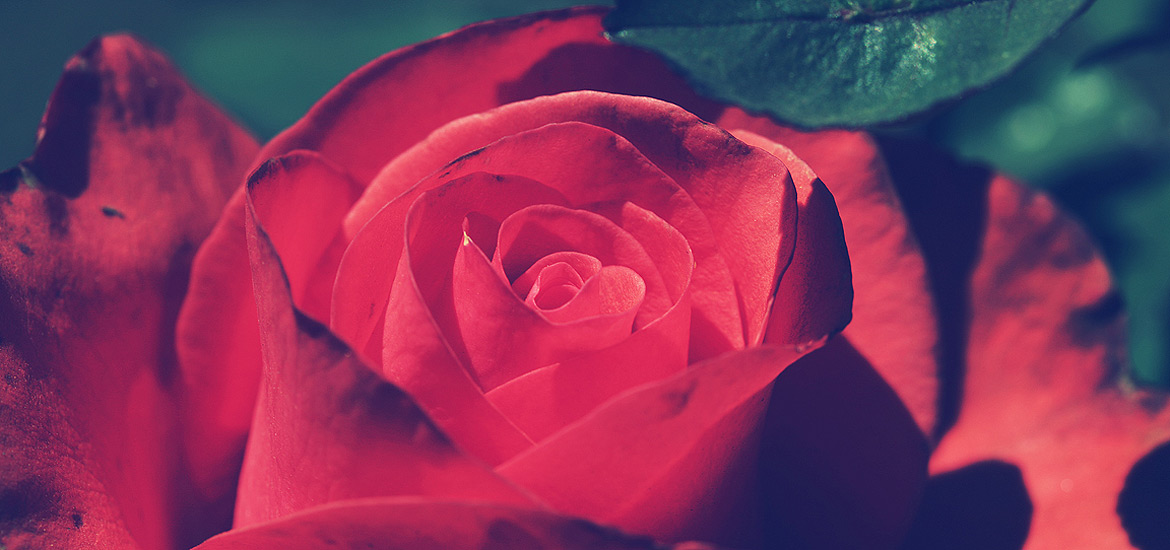 Web漏洞扫描工具